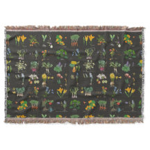 Organic potager garden