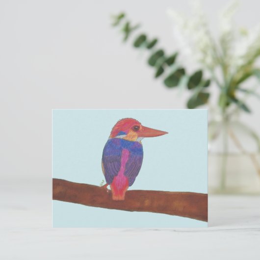 ORIENTAL DWARF KINGFISHER ポストカード (スタンド正面)