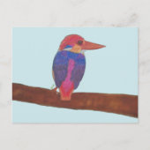 ORIENTAL DWARF KINGFISHER ポストカード (正面)