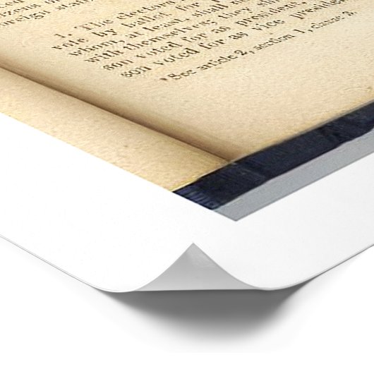 ORIGINAL Constitution Amendment XIII Evidence ポスター (角)