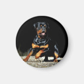 Original Rottweiler Magnet マグネット (正面)