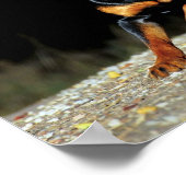 Original Rottweiler Poster ポスター (角)