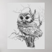 Original Watercolor Baby Owl Bird Art ポスター (正面)