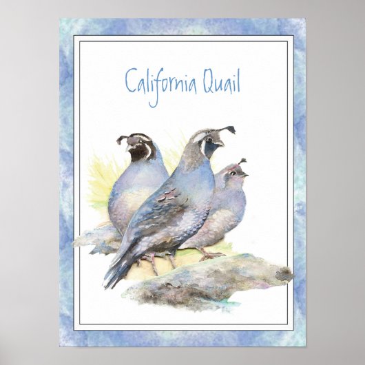 Original Watercolor California Quail Bird ポスター (正面)