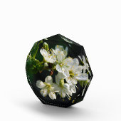 Original White Plum Photo Graduation Art Block フォトブロック (右)