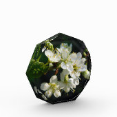 Original White Plum Photo Graduation Art Block フォトブロック (左)