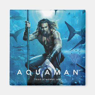 Orin With Aquaman の王子の水生動物 マグネット