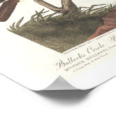 Oriole, Goldfinch, Thrush by Audubon Poster ポスター (角)