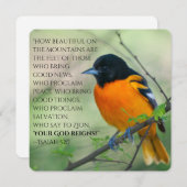 Oriole & Isaiahとの良カラフルいニュースカード52:7 シーズンカード (正面/裏面)