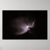 orion nebula ポスター (正面)