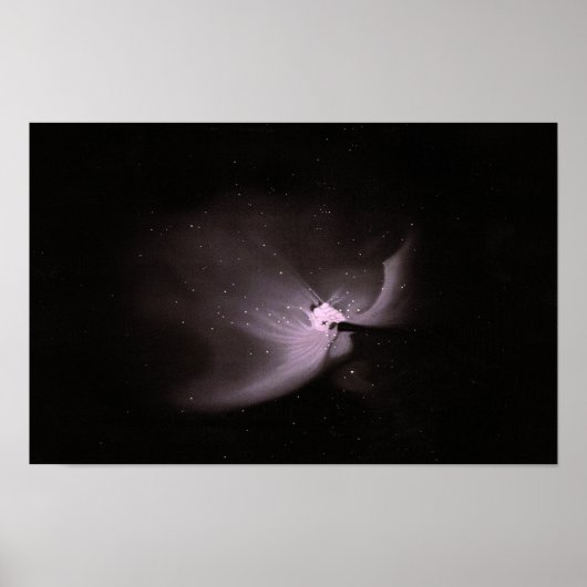 orion nebula ポスター (正面)