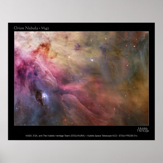 Orion Nebula M42 HST poster ポスター (正面)