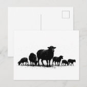 Orkney Sheep — Ink Silhouette Flock ポストカード (正面/裏面)