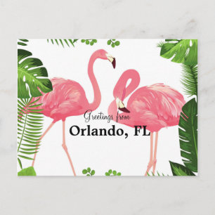 Orlando, FL- – ピンクのフラミンゴからの挨拶 ポストカード