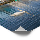 Orlando Florida Skyline Lake Eola Rainbow & Swans ポスター (角)