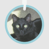 Ornament - Polydactyl Paw Prints and Photo オーナメント (裏面)