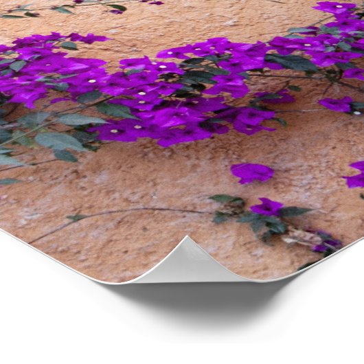 Ornamental window with bougainvillea ポスター (角)