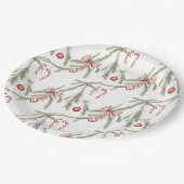 Ornaments Pine Candy Canes Festive Christmas ペーパープレート (アングル)