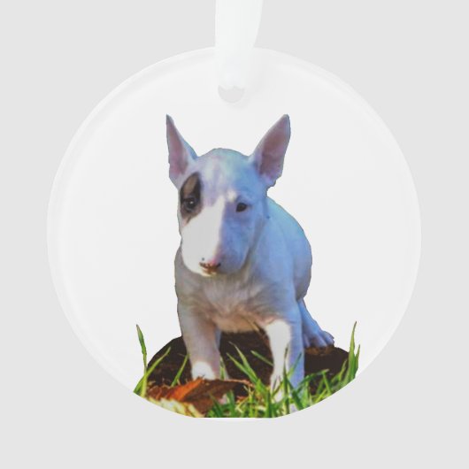 Ornement sapin Personnalisé -Design Bull Terrier オーナメント (正面)
