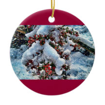 ornimentの雪の写真