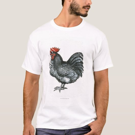 Orpingtonの青いチャボ Tシャツ (正面)