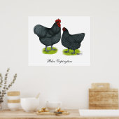 Orpington：青いペア ポスター (キッチン)