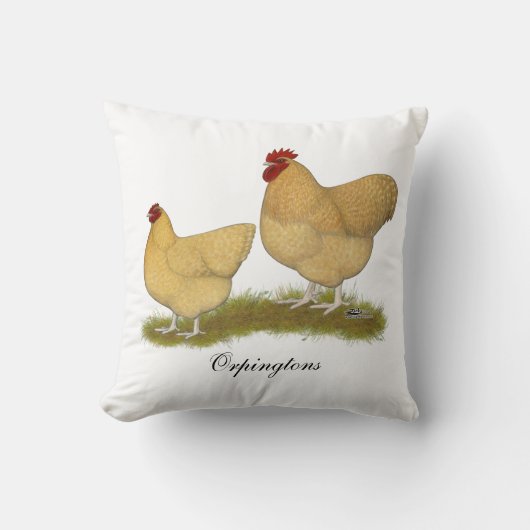 Orpingtonsレモンかっこう クッション (正面)