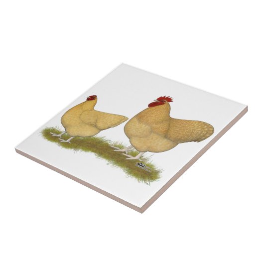 Orpingtonsレモンかっこう タイル (側面)