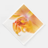 Orquídea (コーナー)