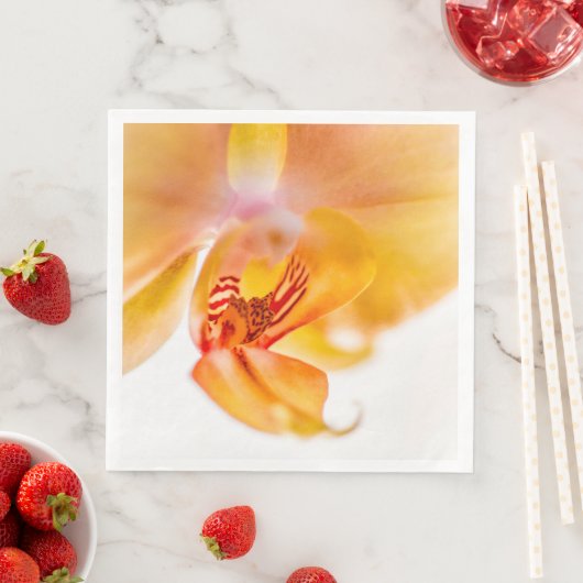 Orquídea (インサイチュ)