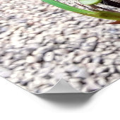 orquidea ポスター (角)