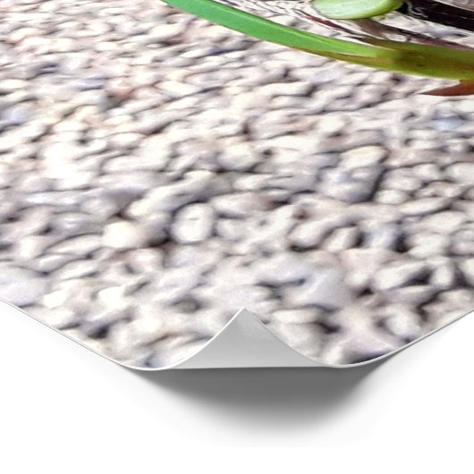 orquidea ポスター (角)