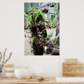 orquidea ポスター (キッチン)