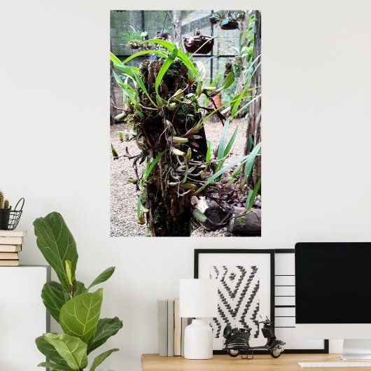 orquidea ポスター (ホームオフィス)