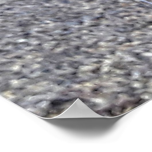 orquideas 01 ポスター (角)