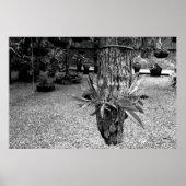 orquideas 02 ポスター (正面)