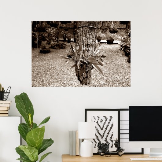 orquideas 03 ポスター (ホームオフィス)