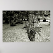 orquideas 04 ポスター (正面)