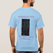 Ortapalooza Tシャツ (裏面)
