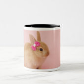 Oryctolagusのcuniculus 2 ツートーンマグカップ (中央)