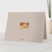 Os Avestruzes de Ponte de Lima / The Ostriches カード (裏面)