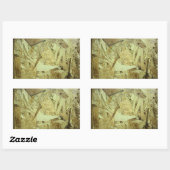 OSBチップボード合板 長方形シール (シート)