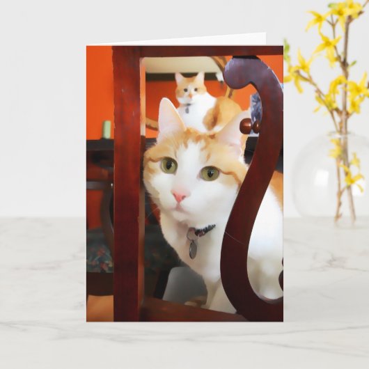 OSCAR & ERNIE heARTcats カード (黄色い花)