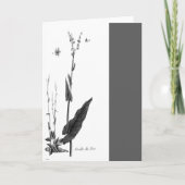 Oseille des Prés カード (正面)