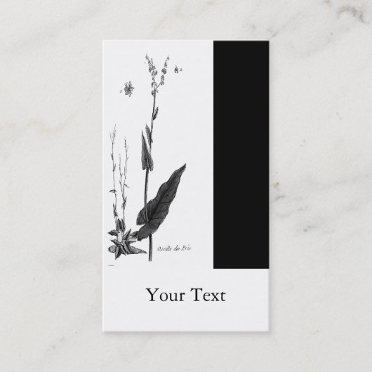 Oseille des Prés 名刺 (正面)