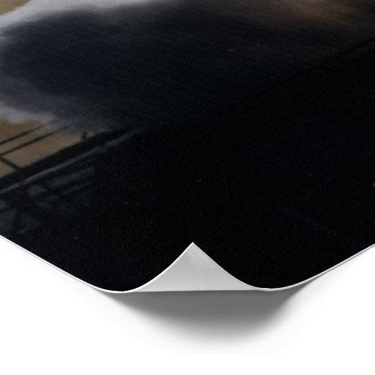 OSOの発表 ポスター (角)