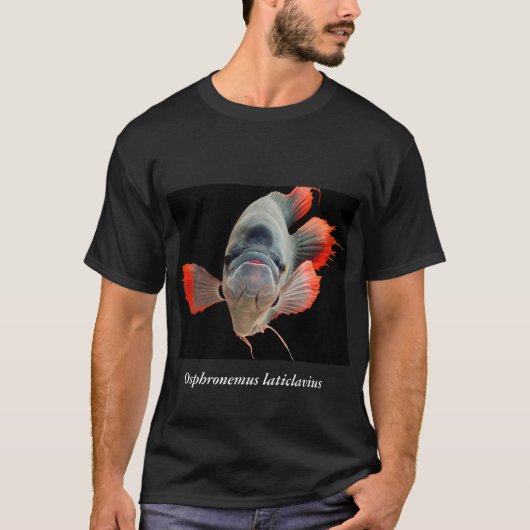 Osphronemus laticlavius tシャツ (正面)