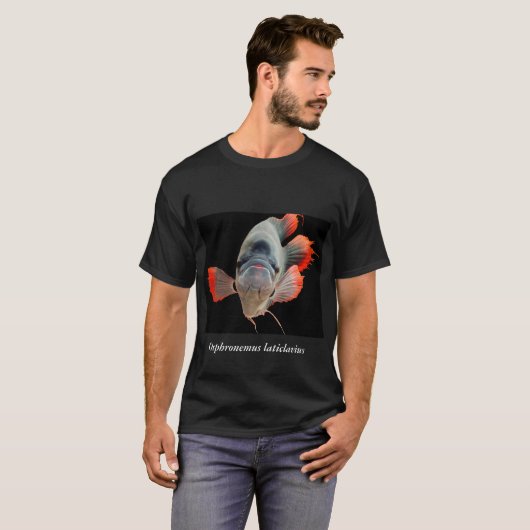 Osphronemus laticlavius tシャツ (正面フル)