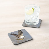 Ospreyと飛んでいるWalleye Fish HDR写真 コースター (右側)