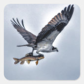Ospreyと飛んでいるWalleye Fish HDR写真 スクエアシール (正面)